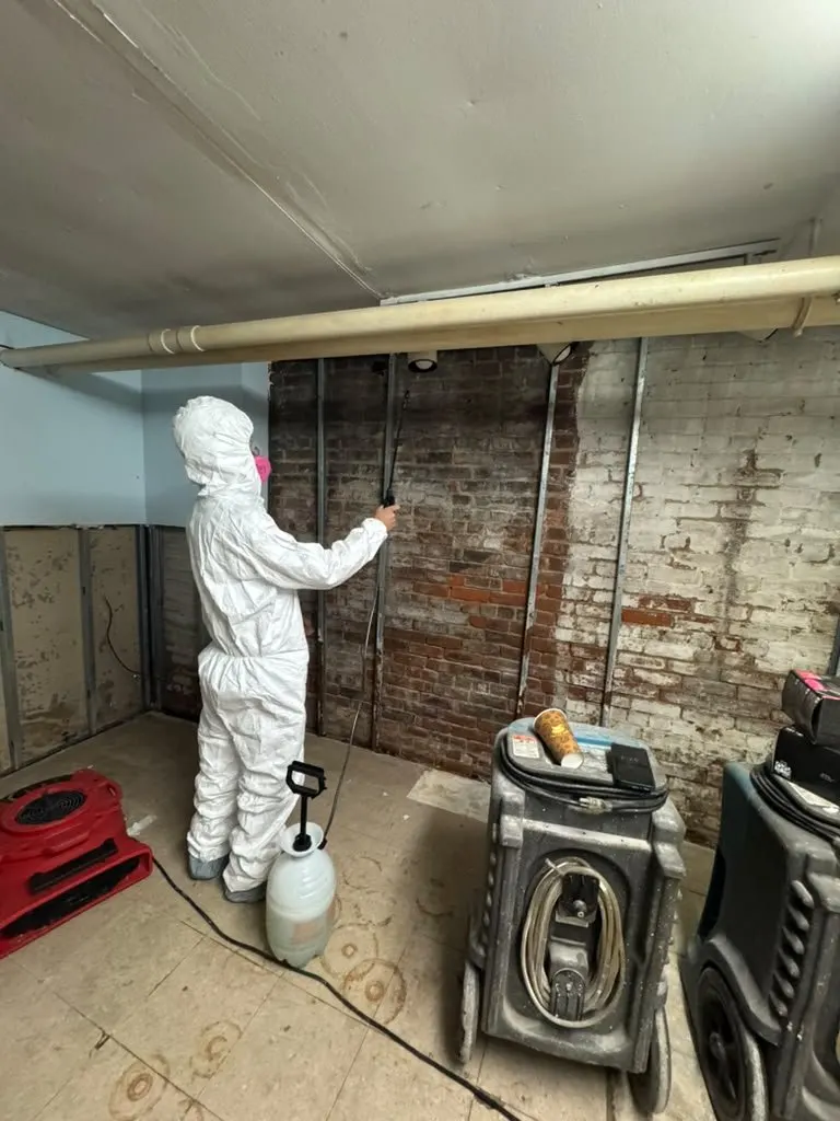 Technician in a protective suit and respirator spraying antimicrobial on exposed brick after sewage cleanup in a Brooklyn basement
