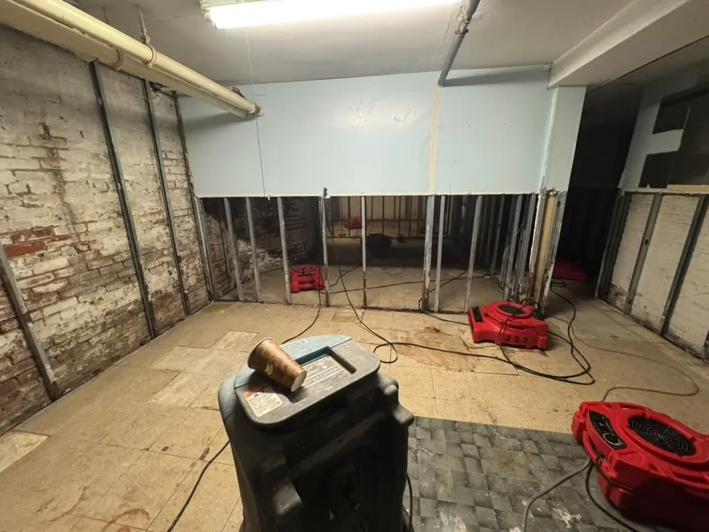 Commercial dehumidifier and air movers drying a basement with the lower walls removed after a sewage backup in Brooklyn