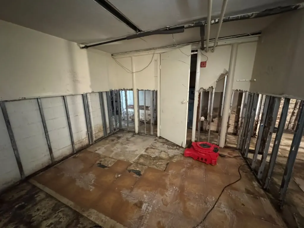 Basement room with drywall removed full height down to the steel studs after sewage humidity soaked the walls in Cypress Hills, Brooklyn