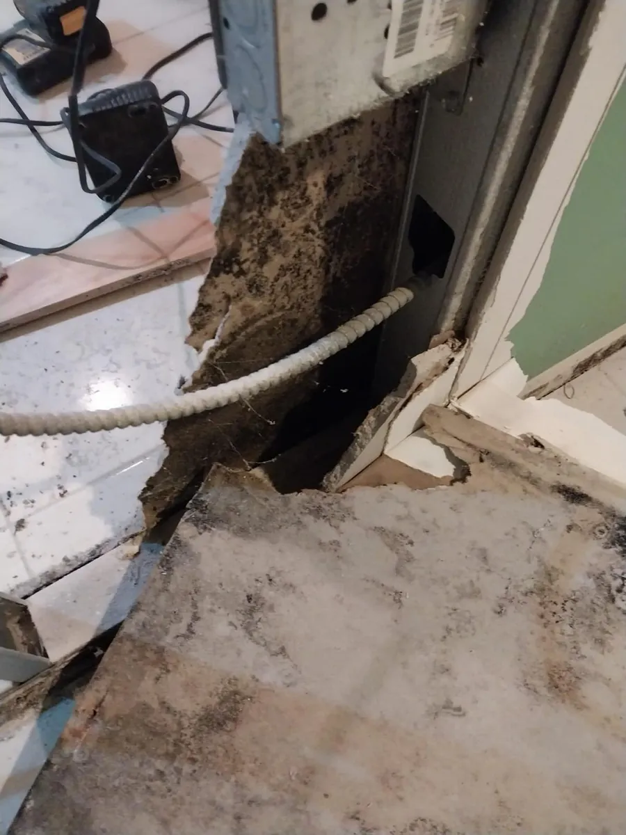 Black mold on the back of wet drywall next to a steel stud and BX cable after a water heater flood in a Marine Park, Brooklyn basement